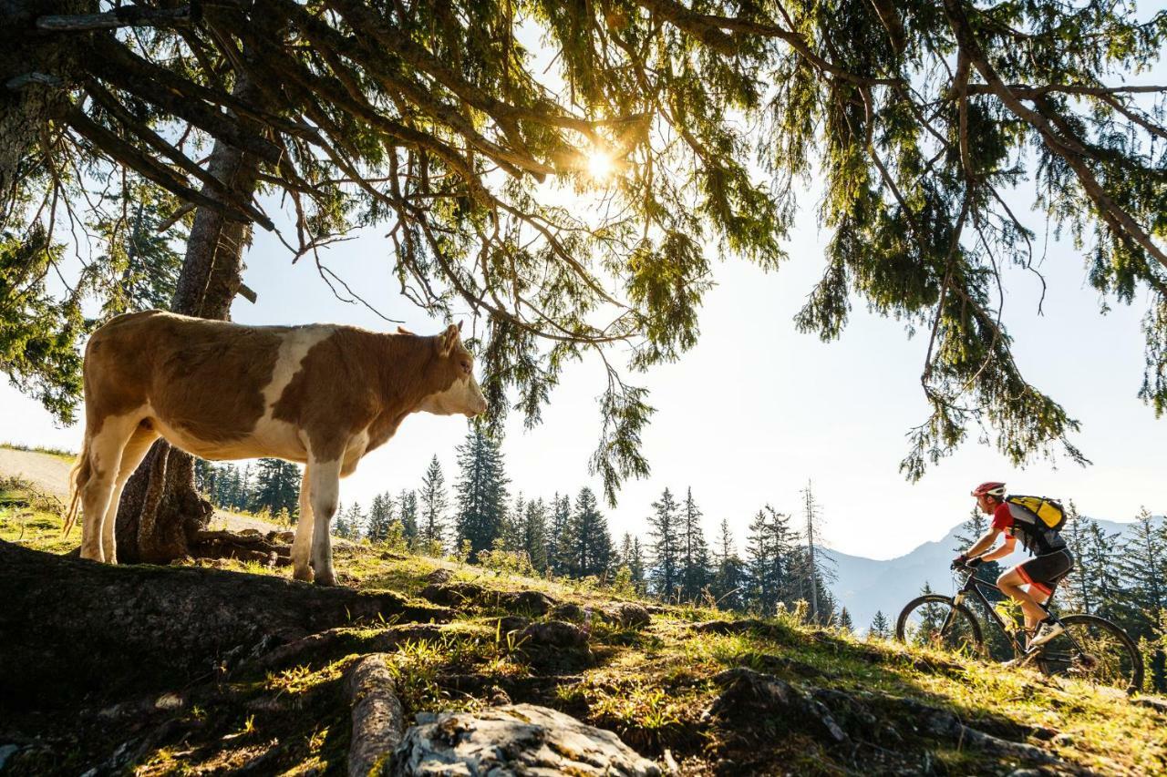 Ferienwohnung Schifterhof Ruhpolding Luaran gambar