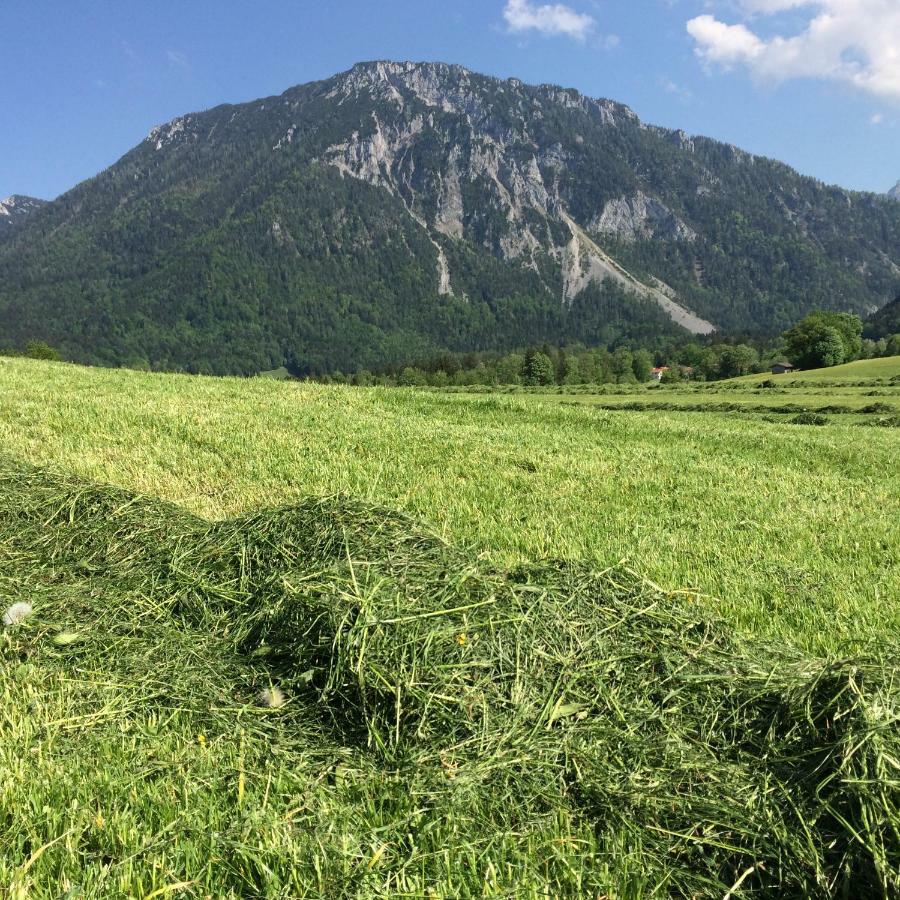 Ferienwohnung Schifterhof Ruhpolding Luaran gambar